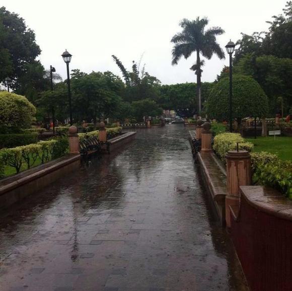 mancillawet